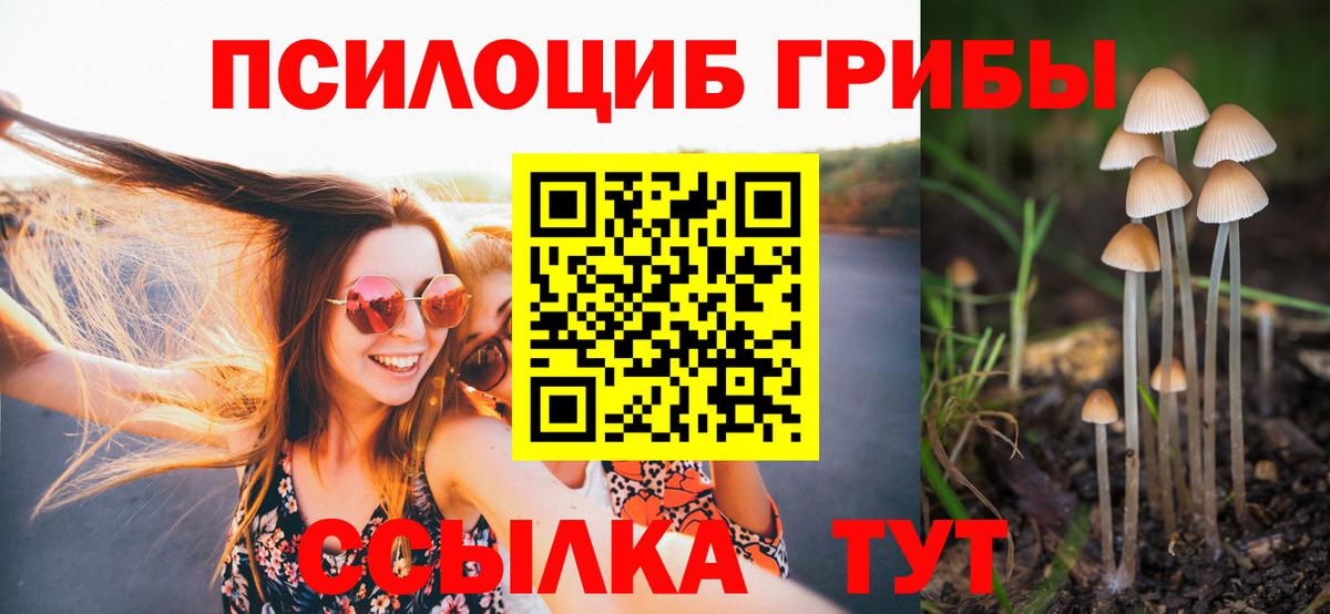 Псилоцибиновые грибы Psilocybine cubensis Жуковский